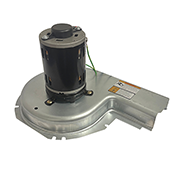 CARRIER/ICP  80+ DRAFT IN