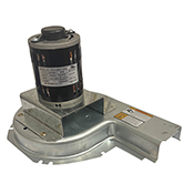 CARRIER/ICP  80+ DRAFT IN